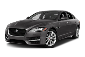 XF