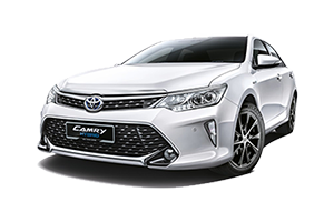 Camry Hybrid (Auxiliary Battery)