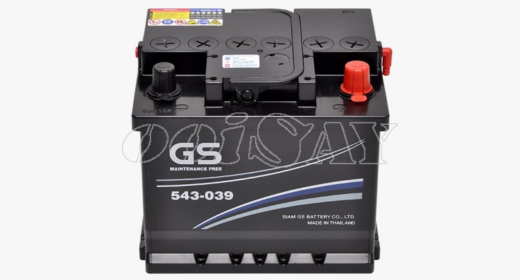 GS 543-039 (MF)