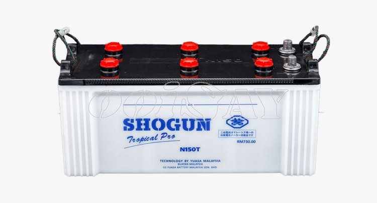SHOGUN 135G51 (N150)